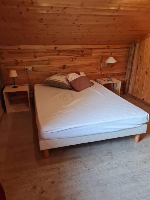 Chalet Familial - Pyrenees, Au Coeur Des 3 Stations La Cabanasse Exteriér fotografie